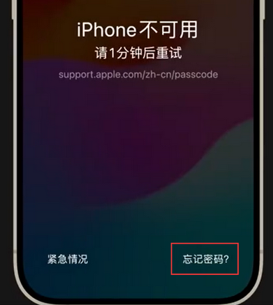 稷山苹果手机密码维修分享iPhone忘记了刚设置的密码 